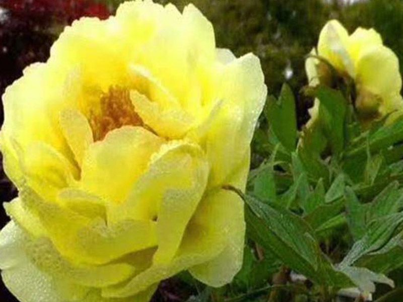 ?；?></dt><dd></dd></ol>
</ul>
<!--圖片展示結(jié)束-->
</div>

<div   id=